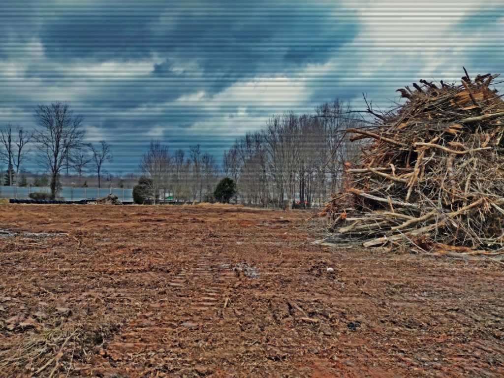 Pile of brush after tree removal from lot clearing for construction of storage facility.