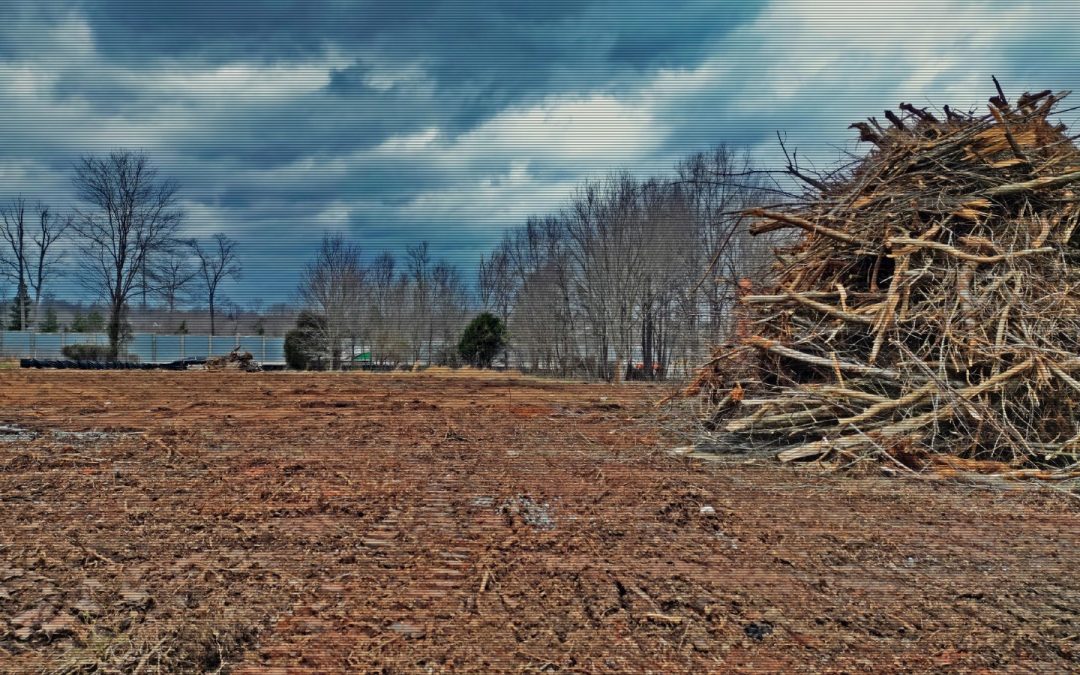 Bermuda Run Site Works